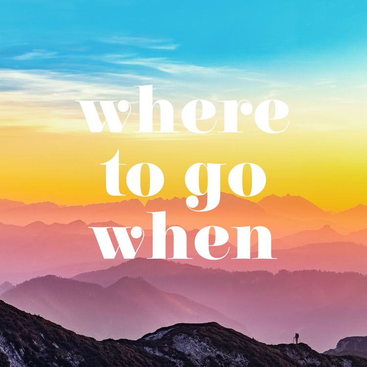 cover art for Episode 4 - Different fall foliage