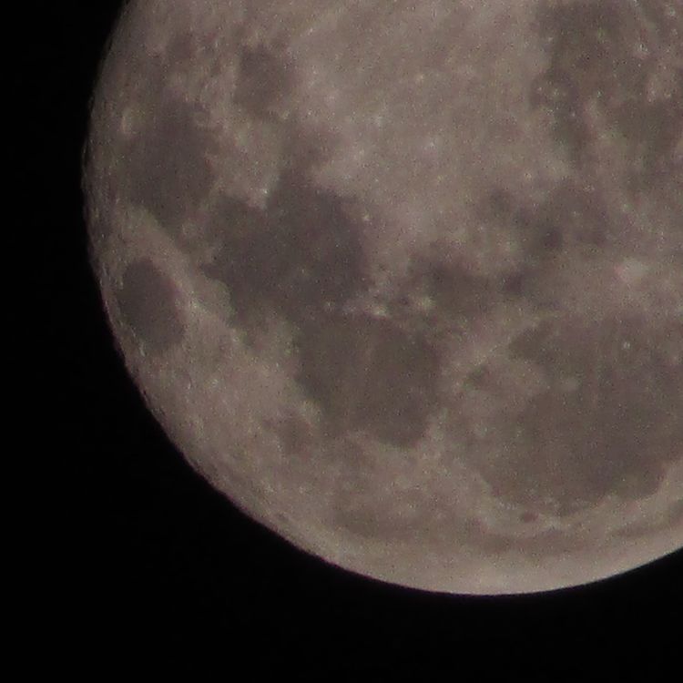 cover art for As crises e suas crisinhas