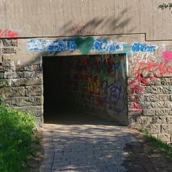 cover art for Die starke Meinung des Ahnungslosen