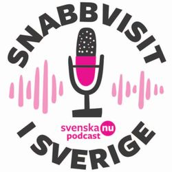 cover art for Snabbvisit i Sverige