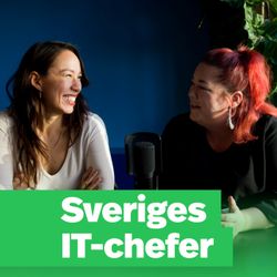 cover art for Sveriges IT-chefer