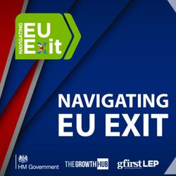 cover art for Navigating EU Exit