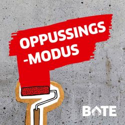 cover art for Oppussingsmodus