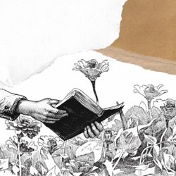 cover art for Solo Palabras