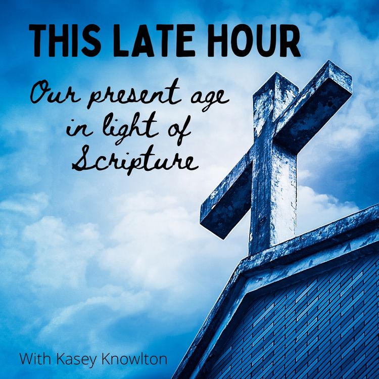 cover art for Interview with Dr. Dan Biddle