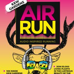 cover art for AIR 10K 2022