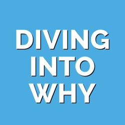 cover art for Diving Into Why