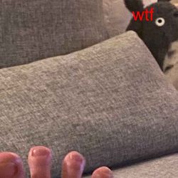 cover art for Att dejta en incel