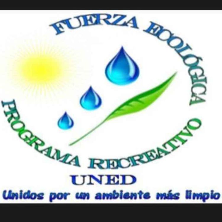 cover art for Buenos Aires: El viaje de la tortuga.