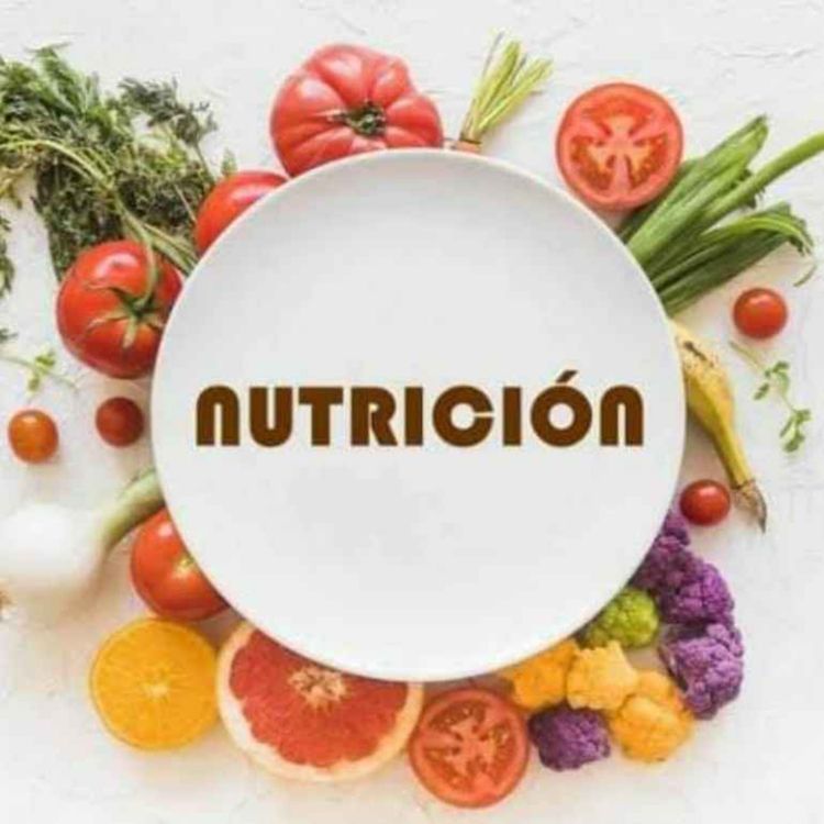 cover art for Material didáctico 1