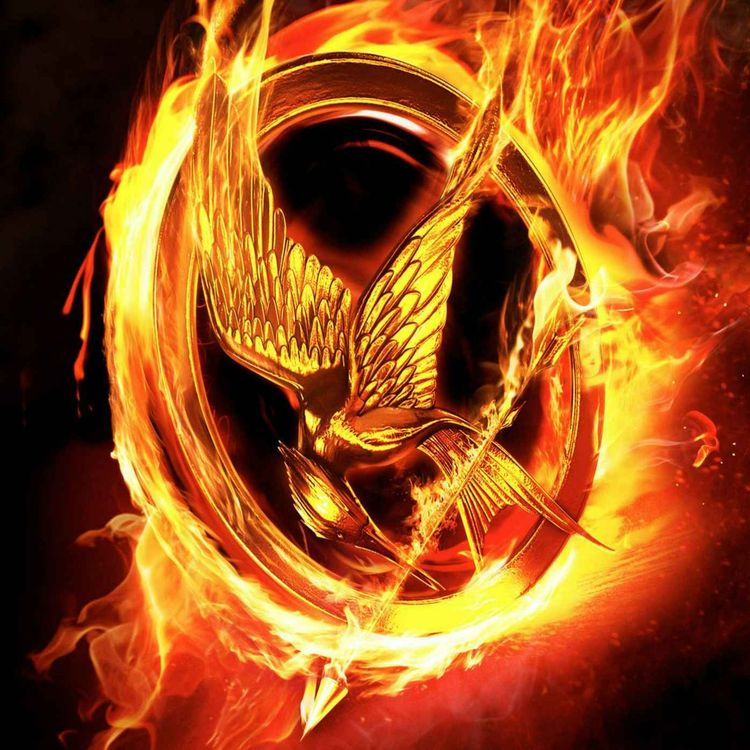 cover art for Chapter 20 The Hunger Games