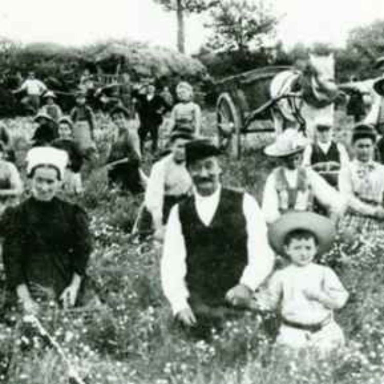 cover art for La première vente...