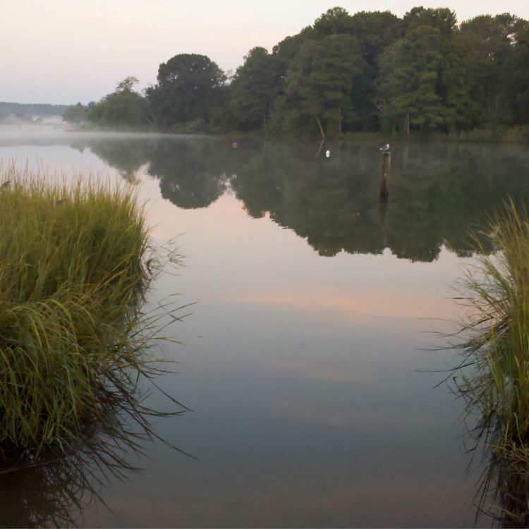 cover art for Big Chicken faces Little Enforcement ft. Jeremy Cox