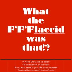 cover art for What The F'F'Flaccid Was That!?