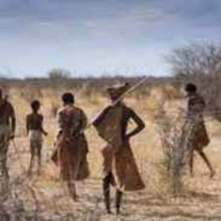 cover art for The day my mother died 