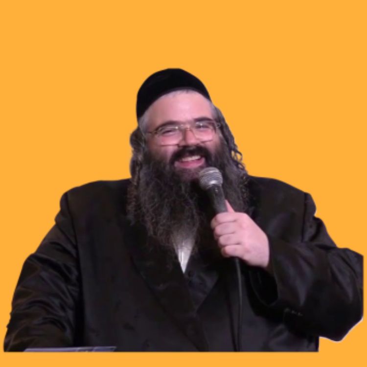 cover art for מיט א פרישקייט