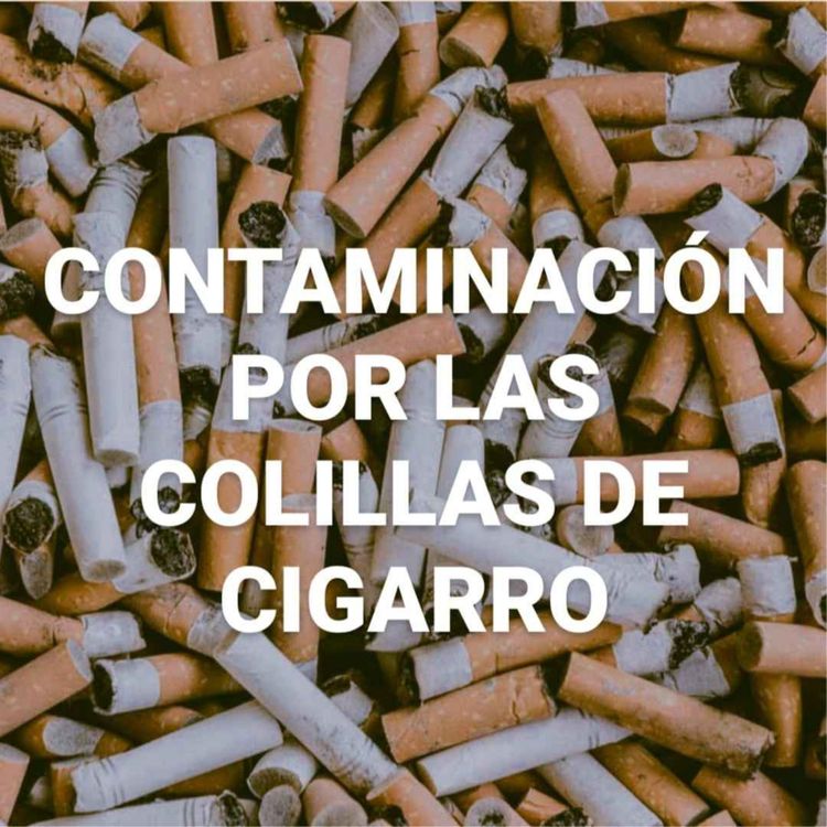 cover art for Contaminación por las colillas de cigarro
