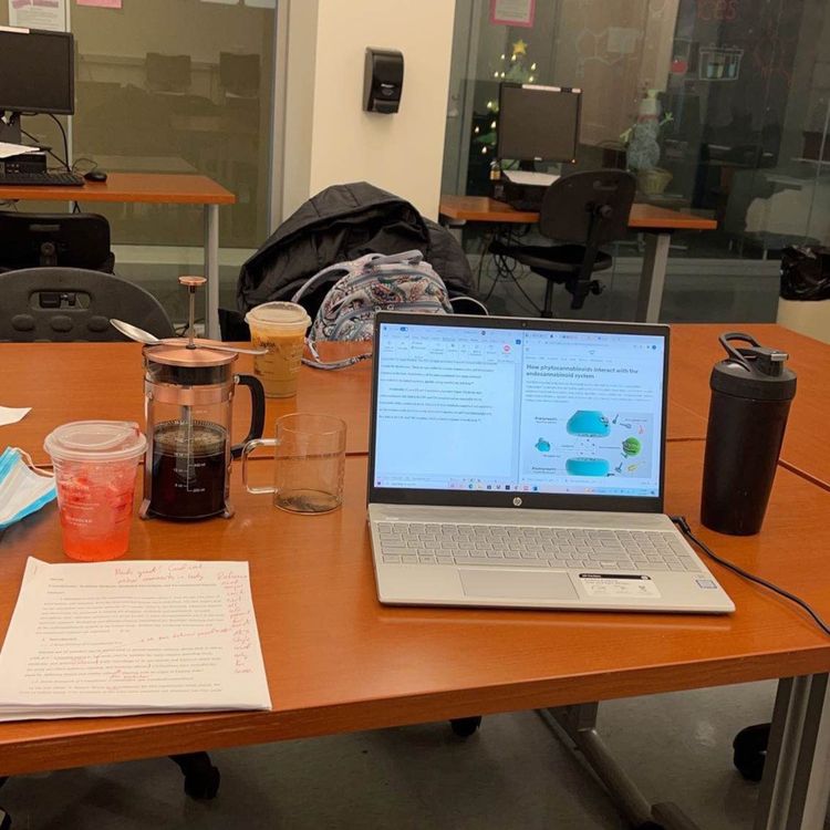 cover art for Book Review of Twelve and a Half by Gary Vaynerchuk