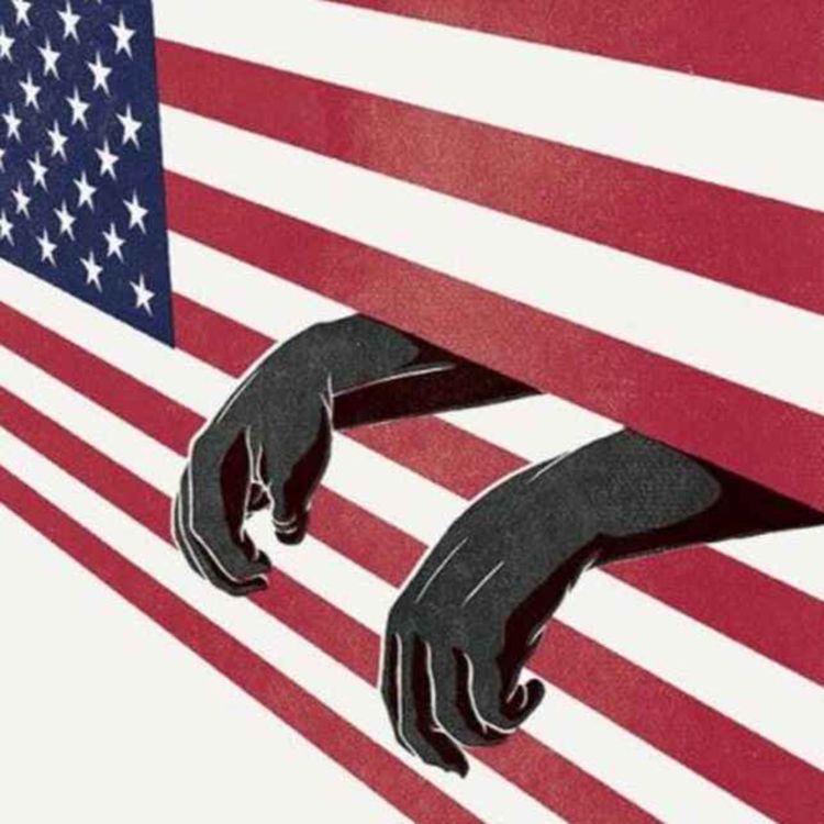 cover art for The US Prison System