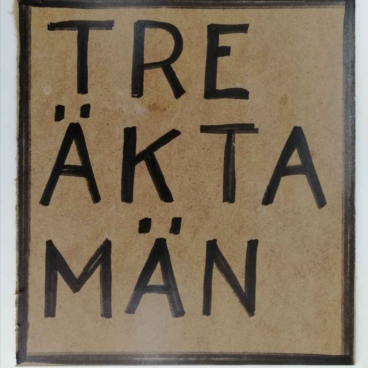 cover art for 11. Trans och risken för klavertramp