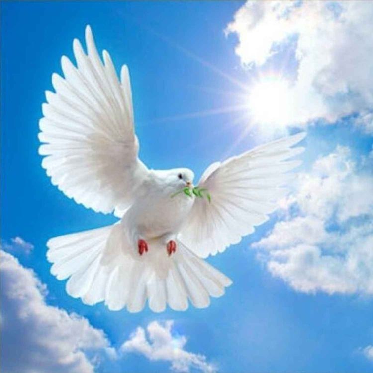 cover art for Armando Flores - Tu nombre levantaré.