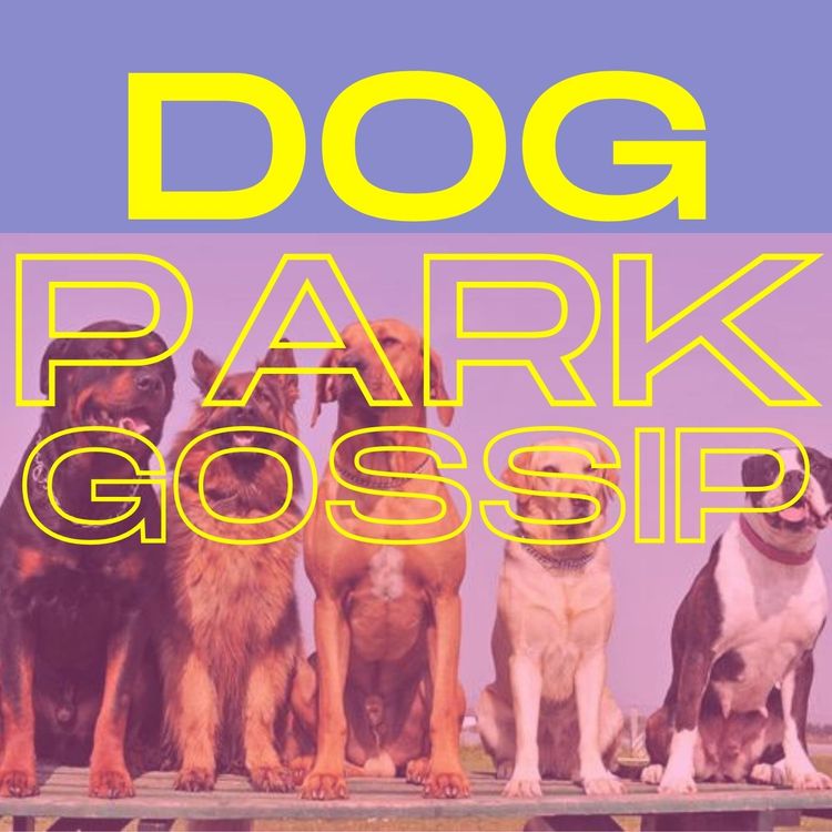 cover art for Episode 1: Welcome