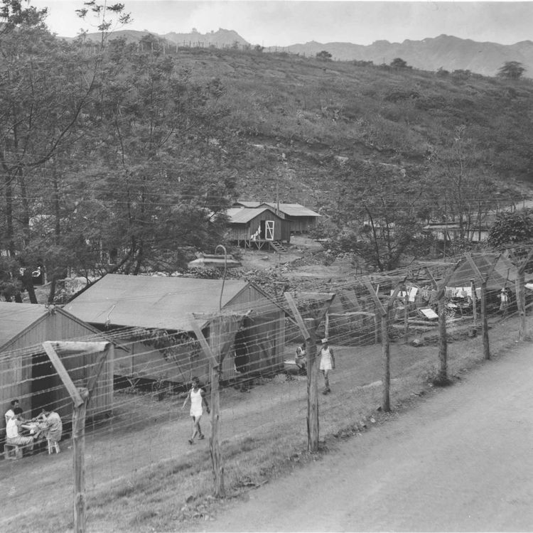 cover art for The Berg History