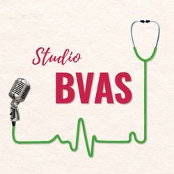 cover art for Studio BVAS